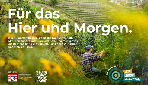 Plakat mit einem Weinbauern, das für den Klimaplan Hessen wirbt