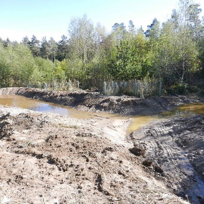 Bild einer neu angelegten, wassergefüllten Versickungsmulde im Wald