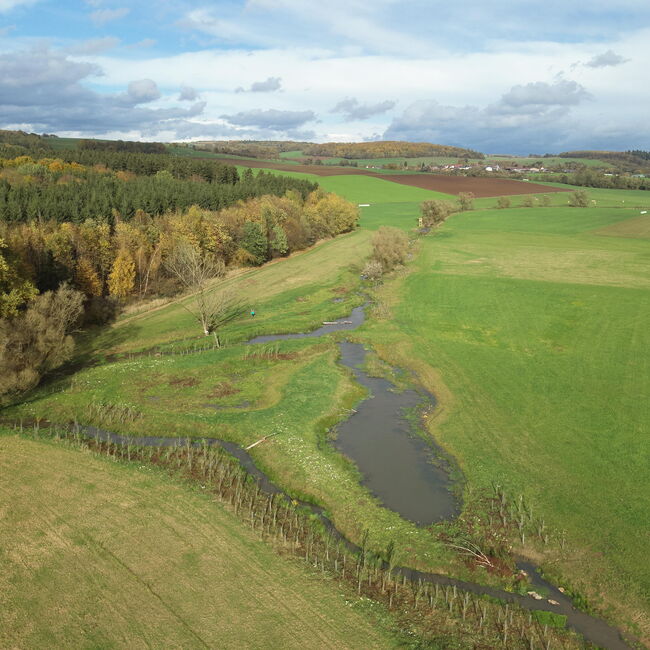 Luftbildaufnahme einer renaturierten Auenlandschaft