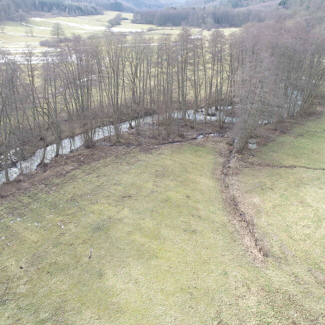 Luftbildaufnahme eines Bachlaufs mit gewässerbegleitenden Gehölzen und trockengefallenenen Nebenläufen